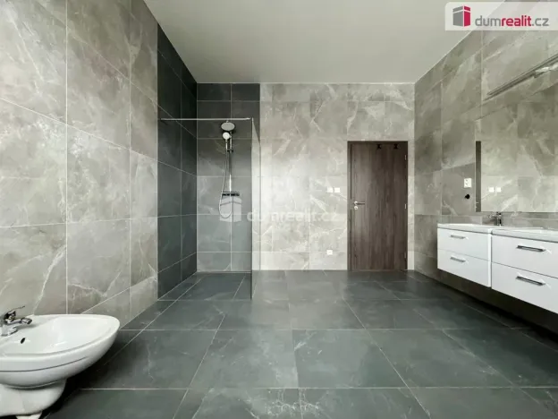 Pronájem rodinného domu, Nezabylice - Hořenec, 154 m2