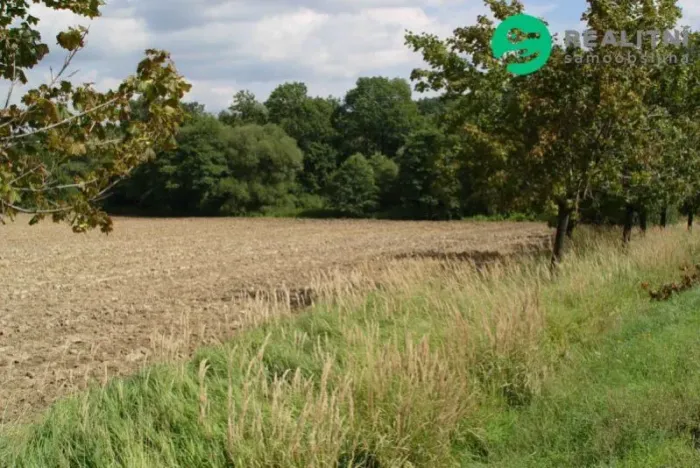 Prodej pole, Mokré Lazce, 4114 m2