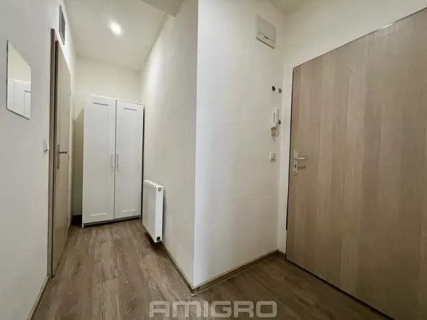 Pronájem bytu 1+kk, Brno, Životského, 24 m2