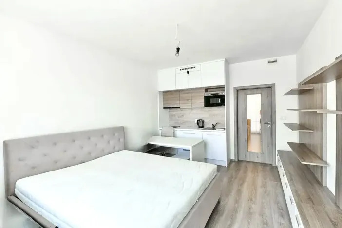 Pronájem bytu 1+kk, Praha - Žižkov, Jana Želivského, 38 m2