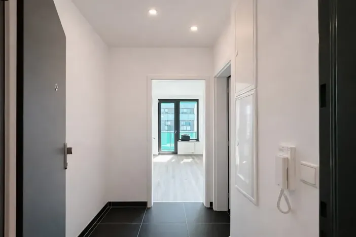 Pronájem bytu 1+kk, Praha - Žižkov, Olgy Havlové, 40 m2