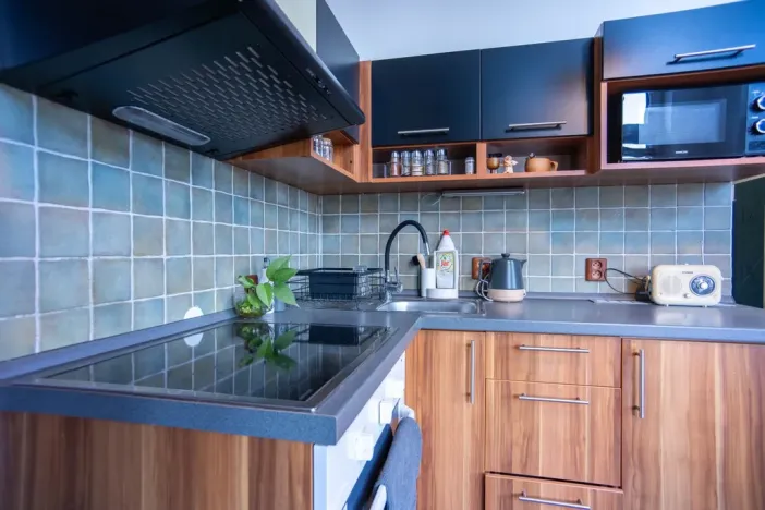 Pronájem bytu 1+kk, Trutnov - Horní Předměstí, Koncertní, 38 m2