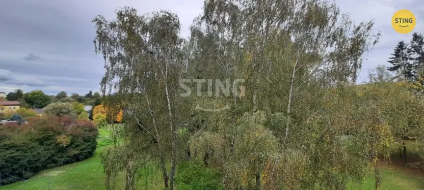 Pronájem bytu 1+1, Jihlava, Telečská, 33 m2