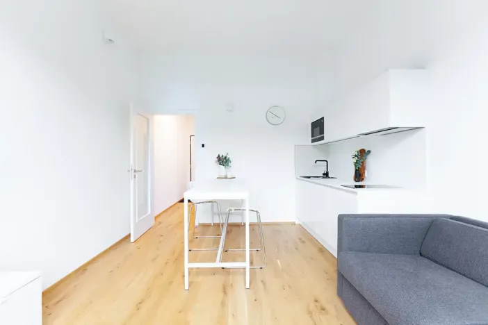 Pronájem bytu 1+kk, Praha, Na dračkách, 29 m2