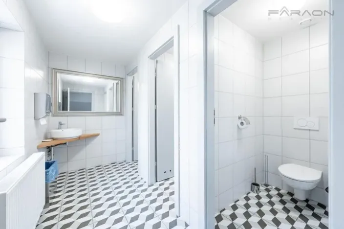 Pronájem skladu, Mladá Boleslav - Mladá Boleslav II, 450 m2