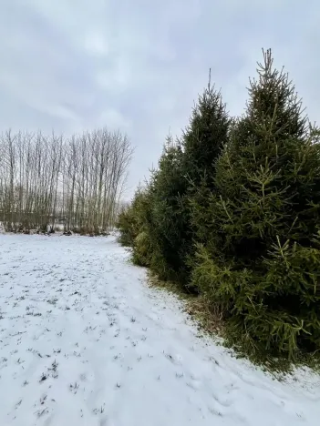 Prodej pozemku pro bydlení, Vratimov, Hřbitovní, 1714 m2