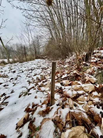 Prodej pozemku pro bydlení, Vratimov, Hřbitovní, 1714 m2