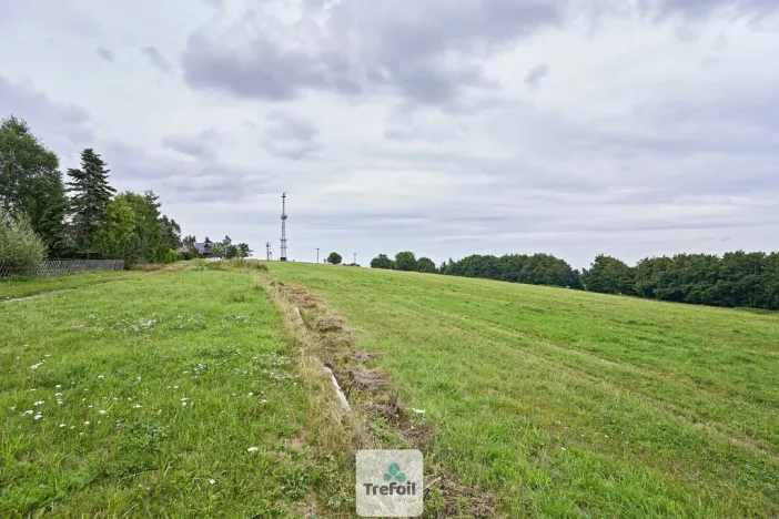 Prodej louky, Osek, 1013 m2