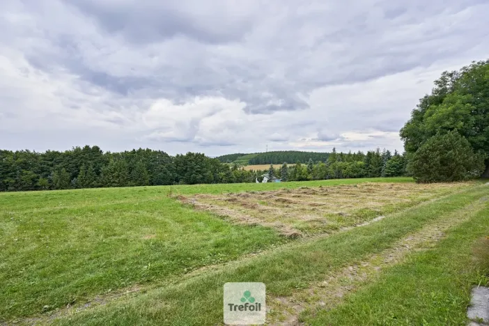 Prodej louky, Osek, 1013 m2