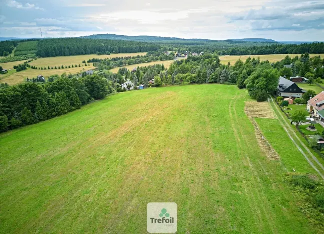 Prodej louky, Osek, 1012 m2