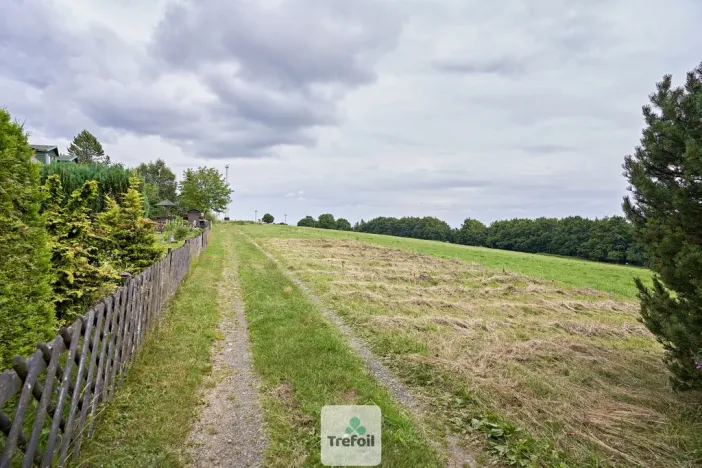 Prodej louky, Osek, 1012 m2