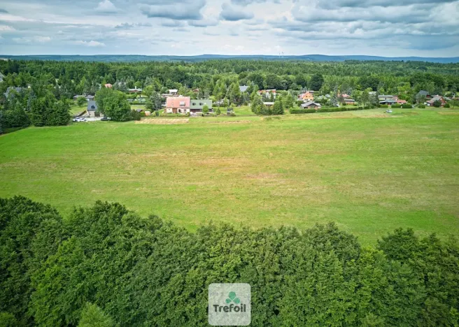 Prodej louky, Osek, 1012 m2