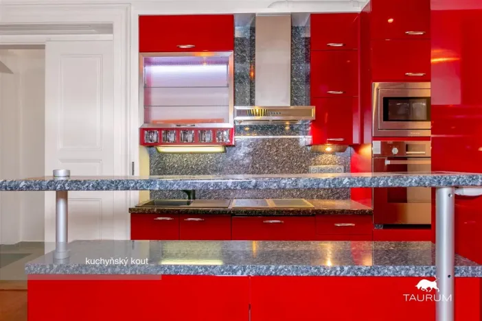 Pronájem bytu 3+kk, Plzeň - Jižní Předměstí, Havlíčkova, 98 m2