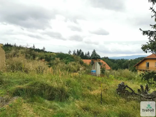 Prodej pozemku pro bydlení, Srubec, 3200 m2