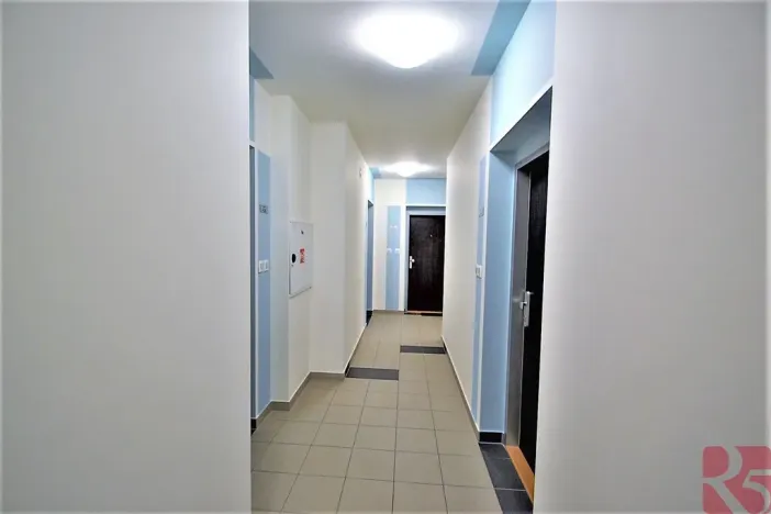 Pronájem bytu 2+kk, Praha - Žižkov, V zahrádkách, 55 m2