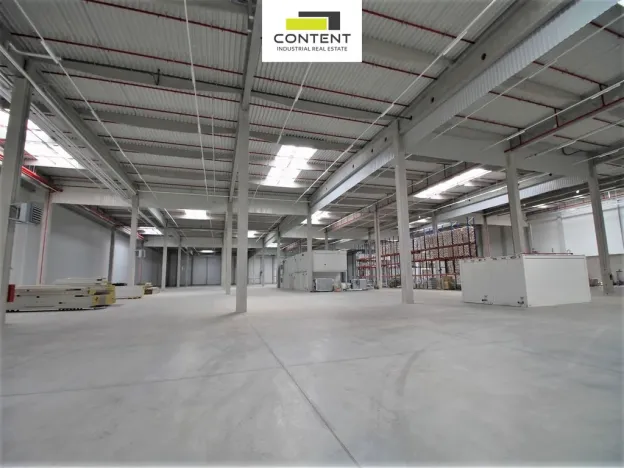 Pronájem skladu, Karviná - Staré Město, Dětmarovická, 10446 m2