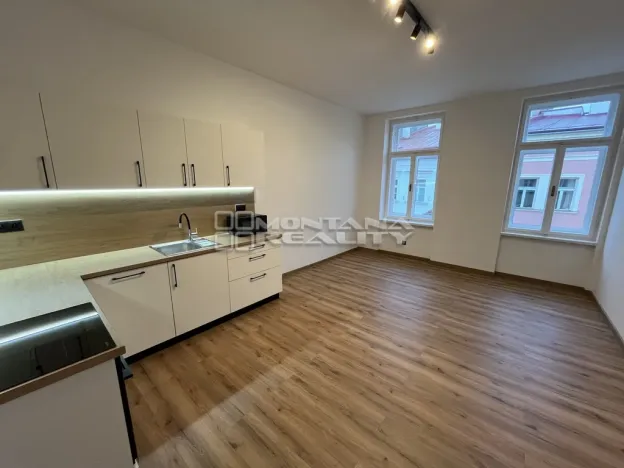 Pronájem bytu 2+kk, Olomouc, Riegrova, 50 m2