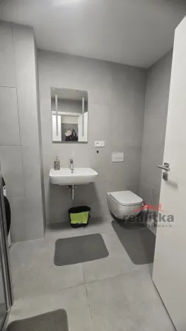 Pronájem bytu 1+kk, Opava, 42 m2