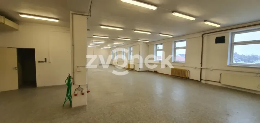 Pronájem skladu, Ostrožská Nová Ves, 1272 m2