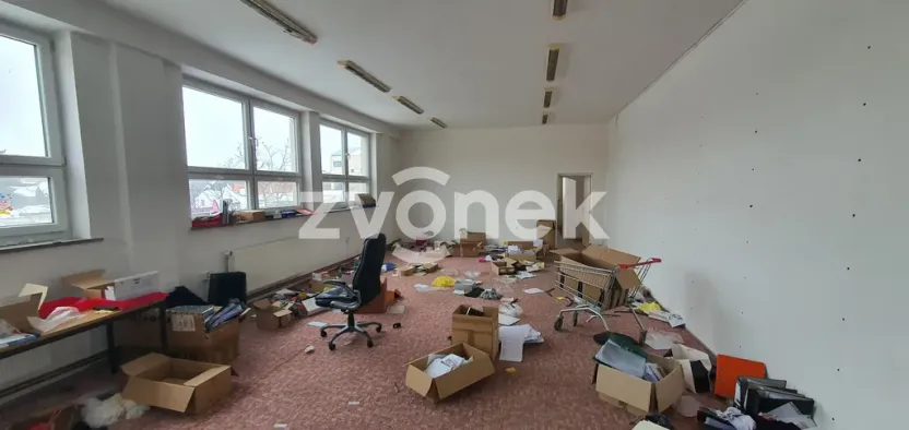 Pronájem skladu, Ostrožská Nová Ves, 1272 m2
