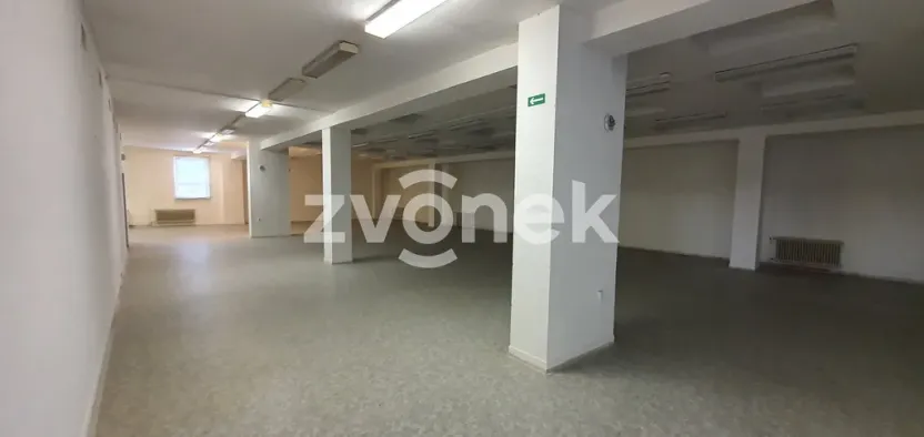 Pronájem skladu, Ostrožská Nová Ves, 1272 m2