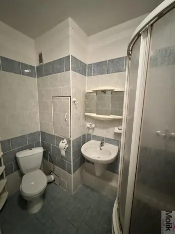 Pronájem bytu 2+1, Most, Vítězslava Nezvala, 55 m2