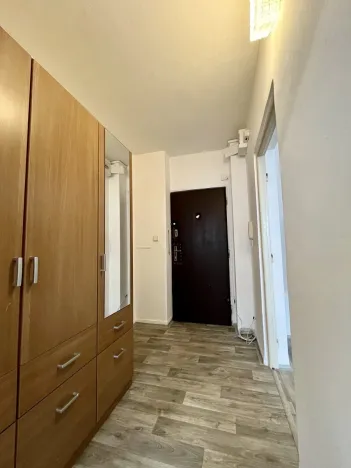 Pronájem bytu 1+1, Ostrava - Hrabůvka, Kašparova, 42 m2