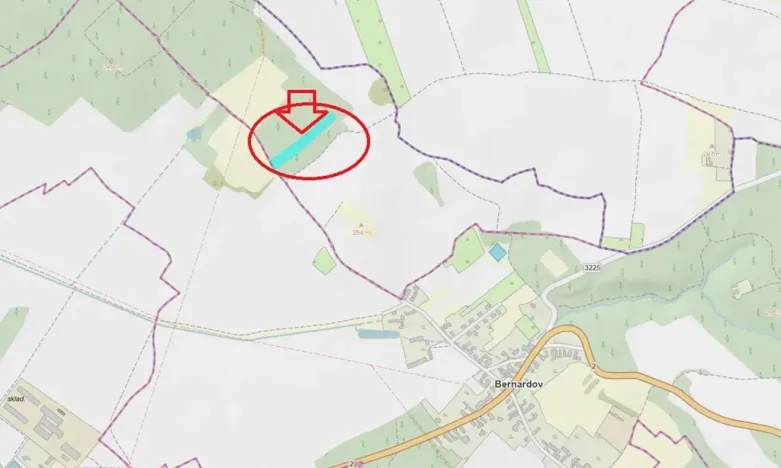 Prodej lesa, Týnec nad Labem, 7079 m2