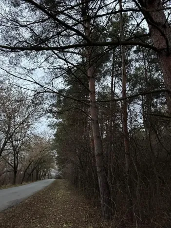 Prodej podílu lesa, Vinaře, 10883 m2