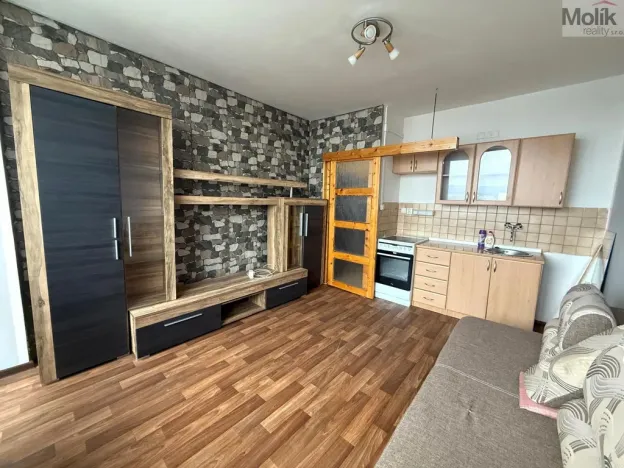 Pronájem bytu 1+kk, Most, U Věžových domů, 22 m2