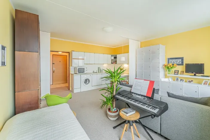 Prodej bytu 1+kk, Praha - Kamýk, U Kamýku, 33 m2