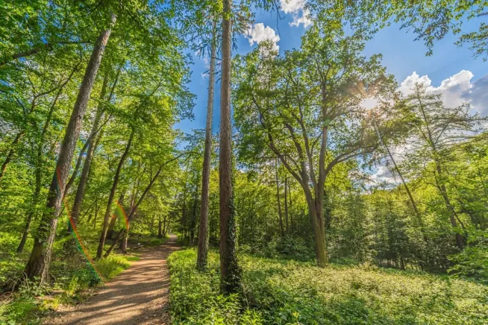 Prodej bytu 1+kk, Praha - Kamýk, U Kamýku, 33 m2