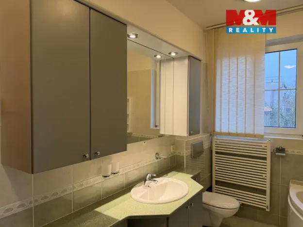 Pronájem rodinného domu, Průhonice, Kosatcová, 291 m2