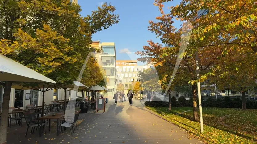 Pronájem kanceláře, Praha - Holešovice, Jankovcova, 330 m2