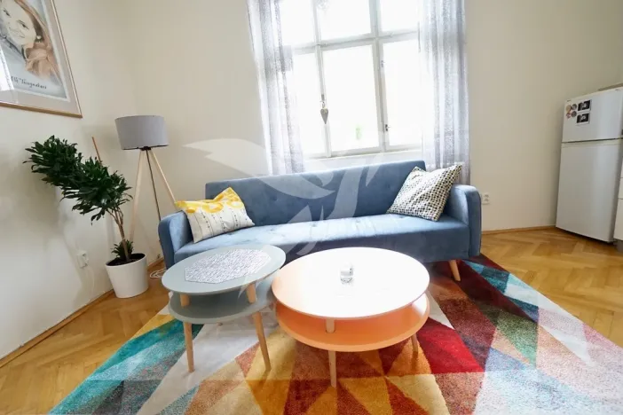 Pronájem bytu 2+kk, Plzeň, Mánesova, 44 m2