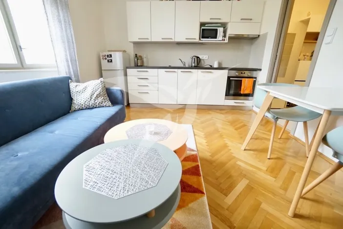 Pronájem bytu 2+kk, Plzeň, Mánesova, 44 m2