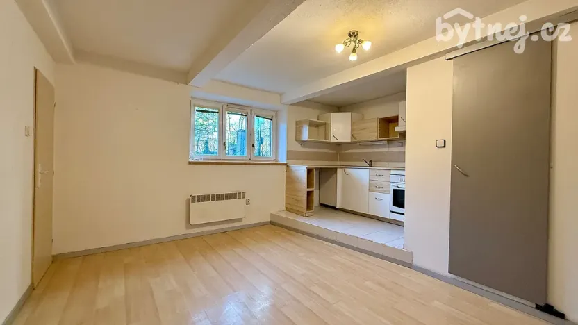 Pronájem bytu 1+1, Olomouc - Nová Ulice, Růženy Svobodové, 49 m2