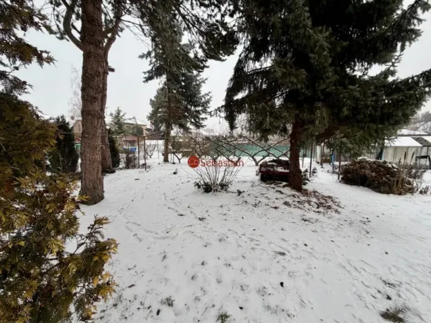 Prodej rodinného domu, Pardubice - Bílé Předměstí, Wintrova II, 177 m2