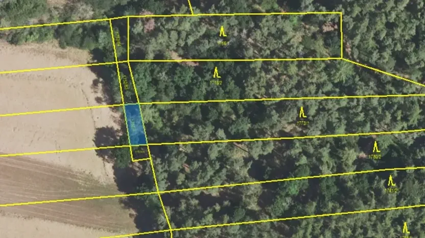 Prodej lesa, Lišany, 5889 m2