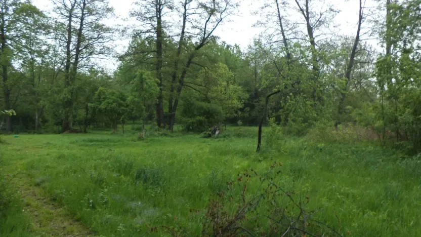 Prodej pozemku, Vlčice, 1387 m2