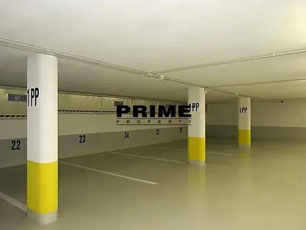 Pronájem bytu 3+kk, Praha - Vinohrady, Italská, 109 m2