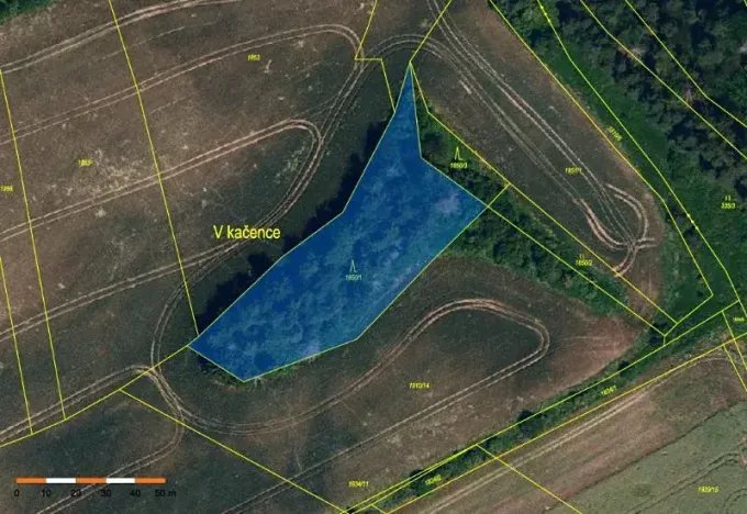 Prodej lesa, Pavlice, 3317 m2