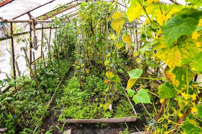 Prodej chalupy, Plavsko, 600 m2