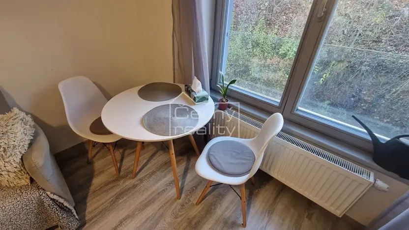 Pronájem bytu 1+kk, Chrudim, Podkopanický mlýn, 30 m2