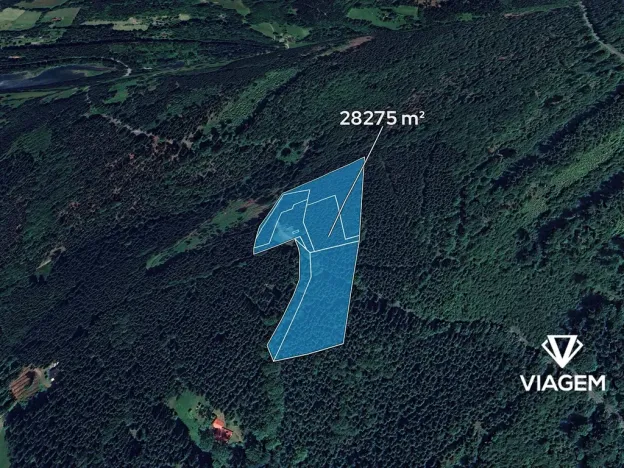 Prodej podílu lesa, Morávka, 4 m2