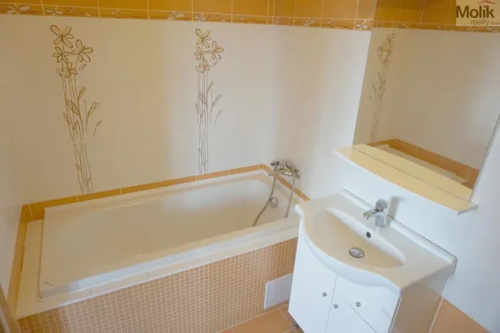 Prodej bytu 1+kk, Litvínov - Horní Litvínov, Podkrušnohorská, 33 m2