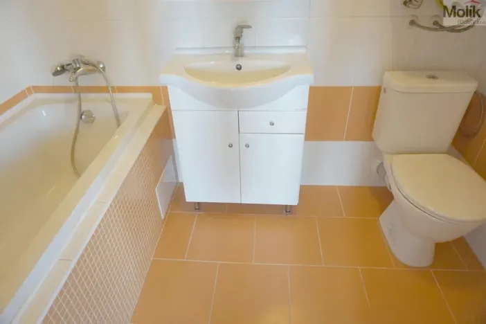 Prodej bytu 1+kk, Litvínov - Horní Litvínov, Podkrušnohorská, 33 m2