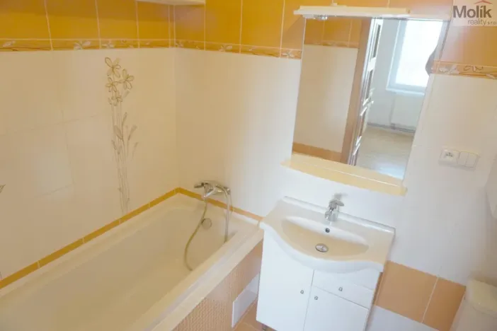 Prodej bytu 1+kk, Litvínov - Horní Litvínov, Podkrušnohorská, 33 m2