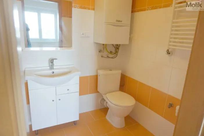 Prodej bytu 1+kk, Litvínov - Horní Litvínov, Podkrušnohorská, 33 m2