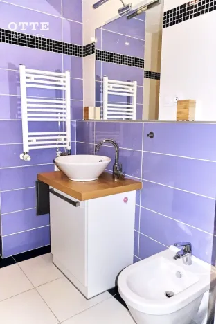 Pronájem bytu 2+kk, Plzeň, Šafaříkovy sady, 57 m2